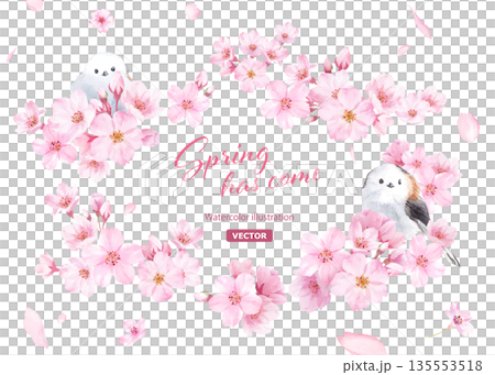 A gentle oval frame designed with watercolor illustrations of cherry blossoms and a small bird (long-tailed tit) Petals on the background (vector 135553518