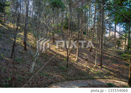 甘樫丘 飛鳥歴史公園甘樫丘地区 奈良県明日香村 甘樫丘 飛鳥歴史公園甘樫丘地区 奈良県明日香村 135554068