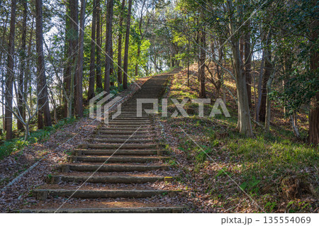 甘樫丘　飛鳥歴史公園甘樫丘地区　奈良県明日香村 135554069
