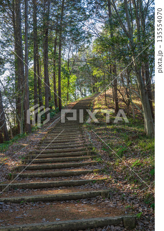甘樫丘　飛鳥歴史公園甘樫丘地区　奈良県明日香村 135554070