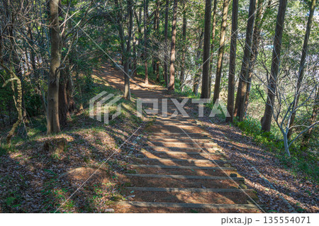 甘樫丘　飛鳥歴史公園甘樫丘地区　奈良県明日香村 135554071