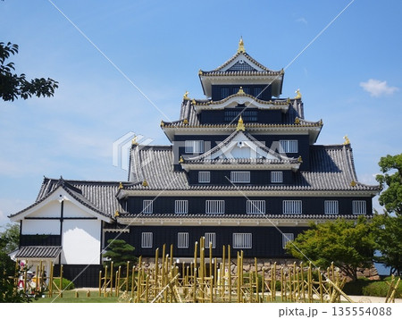 岡山城の天守閣（岡山県岡山市） 135554088