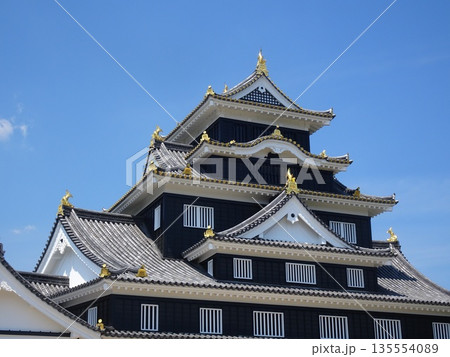岡山城の天守閣(岡山県岡山市) 岡山城の天守閣(岡山県岡山市) 135554089