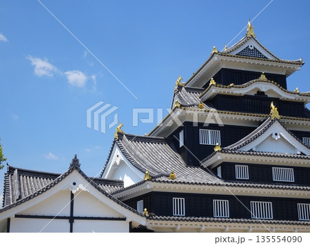 岡山城の天守閣（岡山県岡山市） 135554090