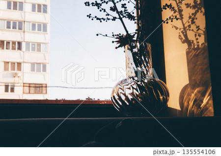 Minimalist interior still life featuring a transparent glass vase with red berry branches placed on a windowsill. Warm natural sunlight creates an elegant play of shadows and light play on the wall. 135554106