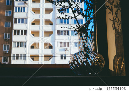 Minimalist interior still life featuring a transparent glass vase with red berry branches placed on a windowsill. A play of shadows and light on wall. Minimalist interior still life featuring a transparent glass vase with red berry branches placed on a windowsill. A play of shadows and light on wall. 135554108