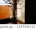 Minimalist interior still life featuring a transparent glass vase with red berry branches placed on a windowsill. Warm natural sunlight creates an elegant play of shadows and light play on the wall. 135554112