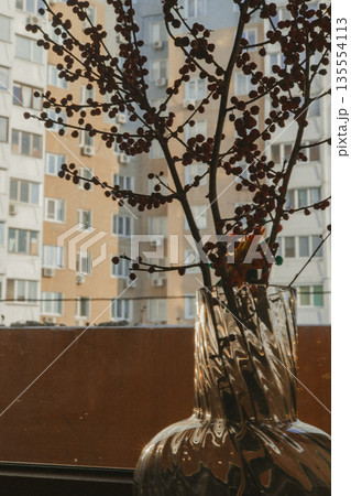 Minimalist interior still life featuring a transparent glass vase with red berry branches placed on a windowsill. A play of shadows and light on wall. 135554113