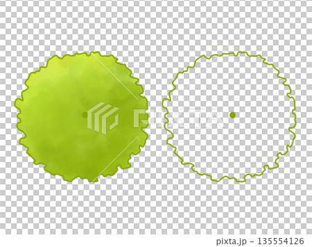 平面圖中的樹木 135554126