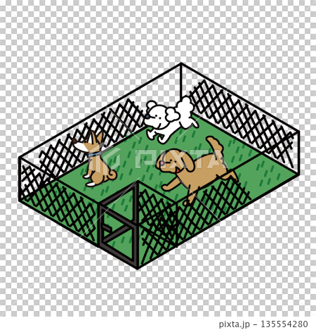 公園や施設にあるドッグランで遊ぶ犬たちのイラスト素材 135554280