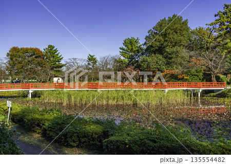 岩槻城址公園 八つ橋 埼玉県さいたま市 岩槻城址公園 八つ橋 埼玉県さいたま市 135554482