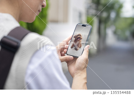 スマホで留守番中の愛犬の様子を確認する中年男性の手元 ペットカメラと連携するスマホ イメージ スマホで留守番中の愛犬の様子を確認する中年男性の手元 ペットカメラと連携するスマホ イメージ 135554488