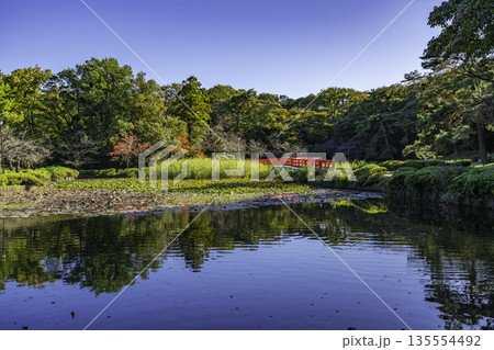 岩槻城址公園　菖蒲池　埼玉県さいたま市 135554492