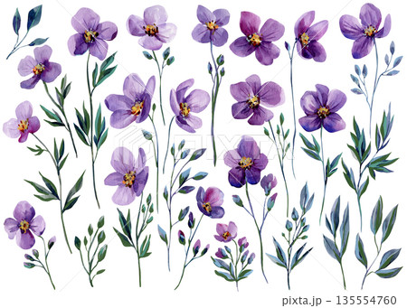 Purple watercolor flowers set with violet wildflower blooms buds and leafy branches isolated on white for spring wedding design 135554760