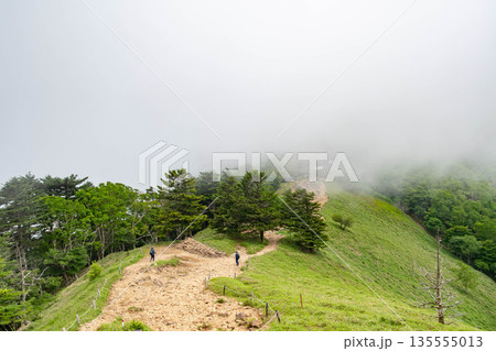 大菩薩峠の登山道 135555013