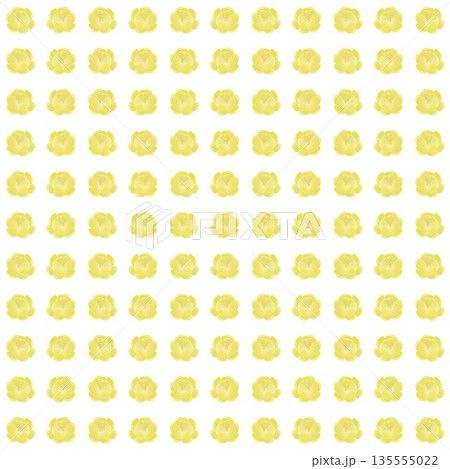 蠟梅の花の壁紙イラスト 135555022