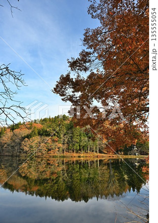針ノ木池に映る紅葉の風景(長野県信濃町) 針ノ木池に映る紅葉の風景(長野県信濃町) 135555054