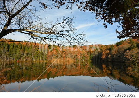針ノ木池に映る紅葉の風景(長野県信濃町) 針ノ木池に映る紅葉の風景(長野県信濃町) 135555055