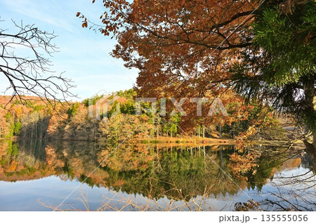 針ノ木池に映る紅葉の風景(長野県信濃町) 針ノ木池に映る紅葉の風景(長野県信濃町) 135555056