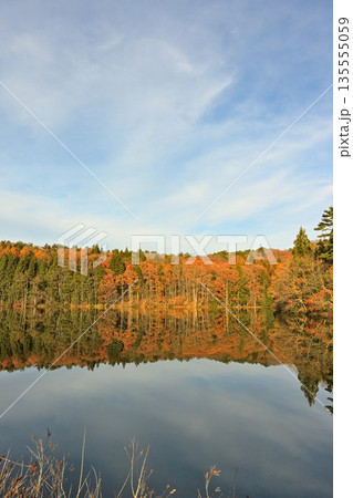 針ノ木池に映る紅葉の風景（長野県信濃町） 135555059