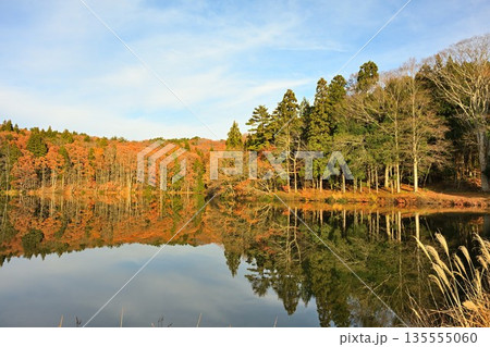 針ノ木池に映る紅葉の風景（長野県信濃町） 135555060