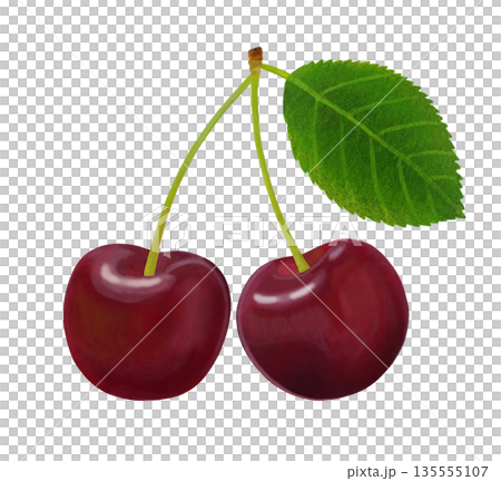 アメリカンチェリー のイラスト 2 - 葉付き アメリカンチェリー のイラスト 2 - 葉付き 135555107