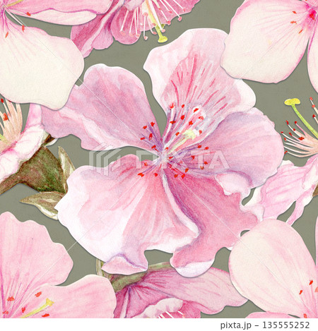 Cherry flowers seamless pattern watercolor, pink tones, hand-painted in natural botanical style isolated on green background. Perfect for wedding invitations, spring cards, packaging, textile design. 135555252