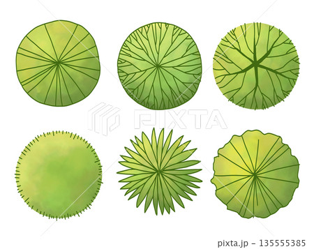 平面図用の樹木の素材セット 135555385