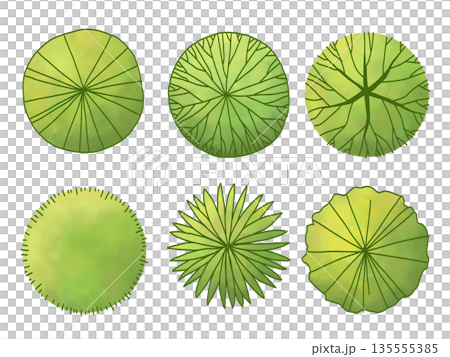 平面図用の樹木の素材セット 135555385