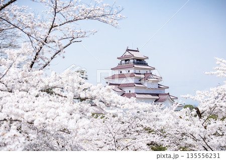 桜に彩られた鶴ヶ城 桜に彩られた鶴ヶ城 135556231