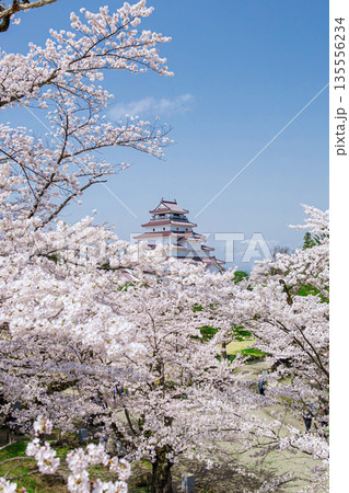 桜に包まれた春の城 桜に包まれた春の城 135556234