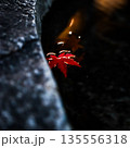 水に浮かぶ紅葉 135556318