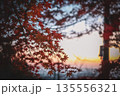真っ赤な紅葉 135556321