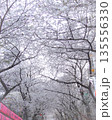 満開の桜道 135556330