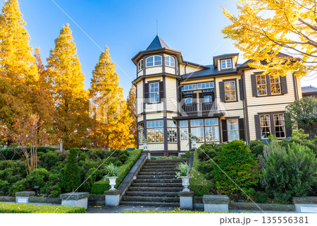 横浜 山手 外交官の家と秋のイタリア山庭園 黄金色のイチョウと青空 135556381