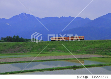 雄大な南アルプスを背に急こう配を登る小海線キハ110系気動車(復刻色)_2016/5/28撮影 雄大な南アルプスを背に急こう配を登る小海線キハ110系気動車(復刻色)_2016/5/28撮影 135556575