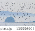 海鳥の群れ　海　島 135556904