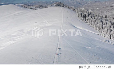 Two snowmobiles driving up a snowy mountain ridge, leaving fresh tracks in snow, with coniferous forest beside them and snow-covered peaks in the background. Winter wild nature travel background 135556956