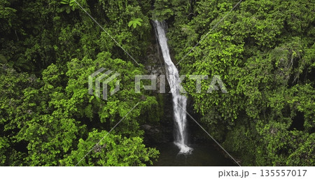 Fiji, Nadi Waterfall: pristine waterfall cascading through a dense, vibrant green rainforest canopy, breathtaking aerial perspective showcasing the untouched beauty of nature. Drone flight Fiji, Nadi Waterfall: pristine waterfall cascading through a dense, vibrant green rainforest canopy, breathtaking aerial perspective showcasing the untouched beauty of nature. Drone flight 135557017