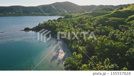 Fiji island: palm trees coastline, clear turquoise ocean water and pristine white sand beach, dense tropical green hills rainforest under a bright sky. Exotic nature paradise. Aerial view drone flight 135557028