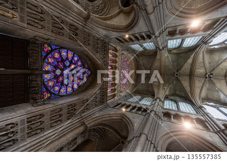Reims, Marne, Grand-Est, France, August, 28th, 2025, Champagne Area, Elegant arched ceiling features 135557385