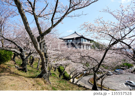 広島県尾道市_千光寺公園24_2025年3月 広島県尾道市_千光寺公園24_2025年3月 135557528
