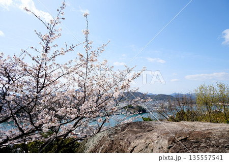 広島県尾道市_千光寺公園鼓岩6_2025年3月 広島県尾道市_千光寺公園鼓岩6_2025年3月 135557541