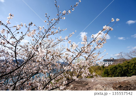 広島県尾道市_千光寺公園鼓岩7_2025年3月 広島県尾道市_千光寺公園鼓岩7_2025年3月 135557542