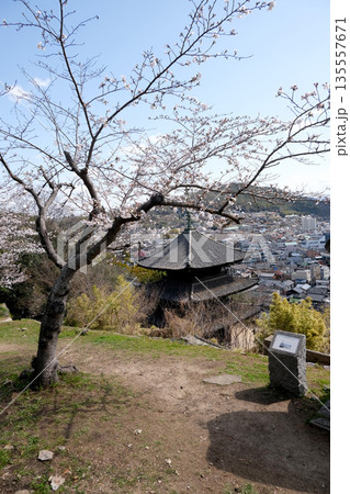 広島県尾道市_天寧寺三重塔1_2025年3月 135557671