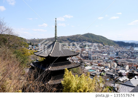 広島県尾道市_天寧寺三重塔3_2025年3月 135557674