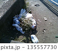 道路脇に放置されたゴミと雑草 135557730