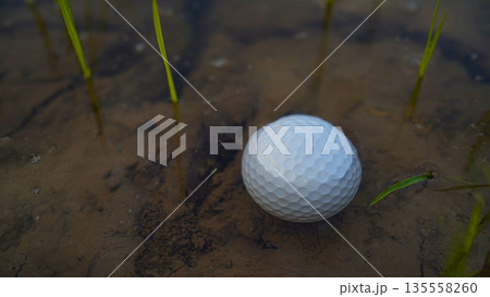 White golf ball falls into the water one of the obstacles to playing golf White golf ball falls into the water one of the obstacles to playing golf 135558260
