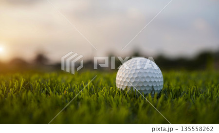 Golf ball on green grass in the evening golf course with sunshine background. 135558262