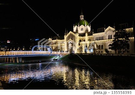 Illuminated Academy of Fine Arts and Festive Bridge at Night 135558393